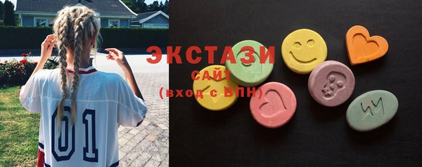 крисы Бородино