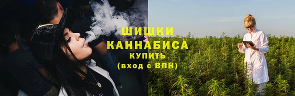 крисы Бородино