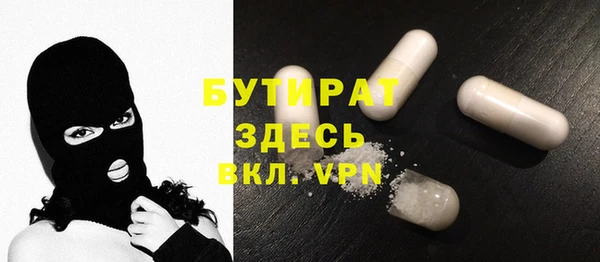 крисы Бородино