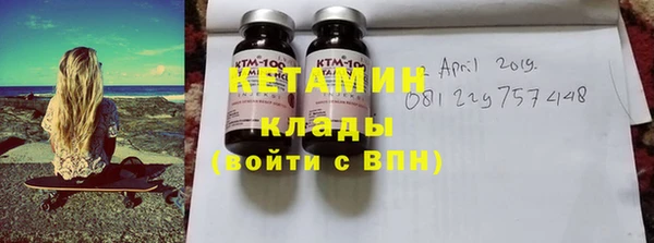 крисы Бородино