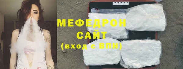 крисы Бородино
