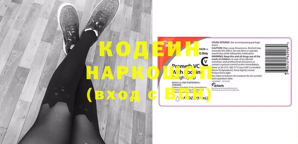 крисы Бородино