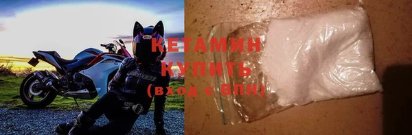 крисы Бородино
