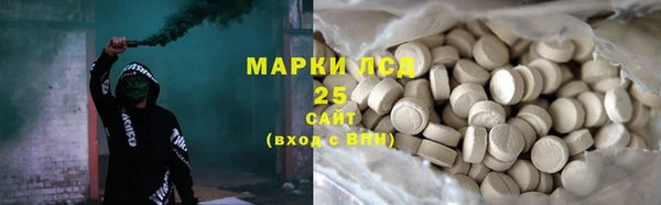 крисы Бородино
