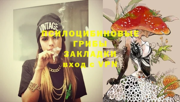 крисы Бородино