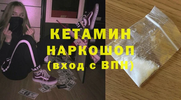 крисы Бородино
