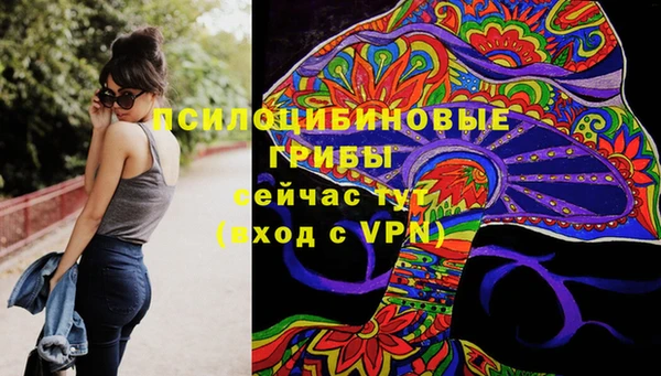 ПСИЛОЦИБИНОВЫЕ ГРИБЫ Бронницы