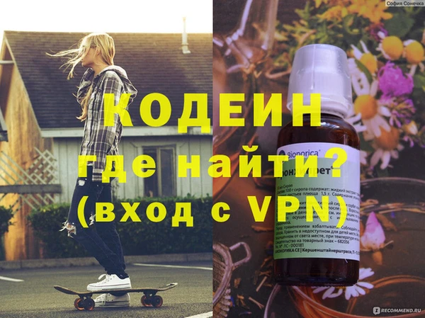крисы Бородино