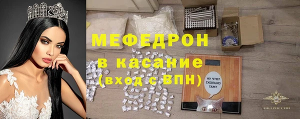 крисы Бородино