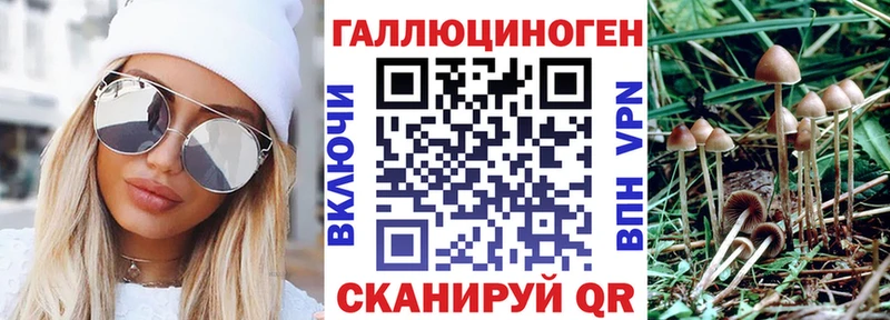 KRAKEN зеркало  продажа наркотиков  Нижневартовск  Галлюциногенные грибы Psilocybine cubensis 